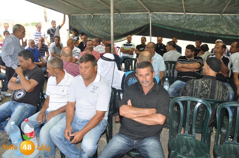 sol7desoqylud615 (3).JPG